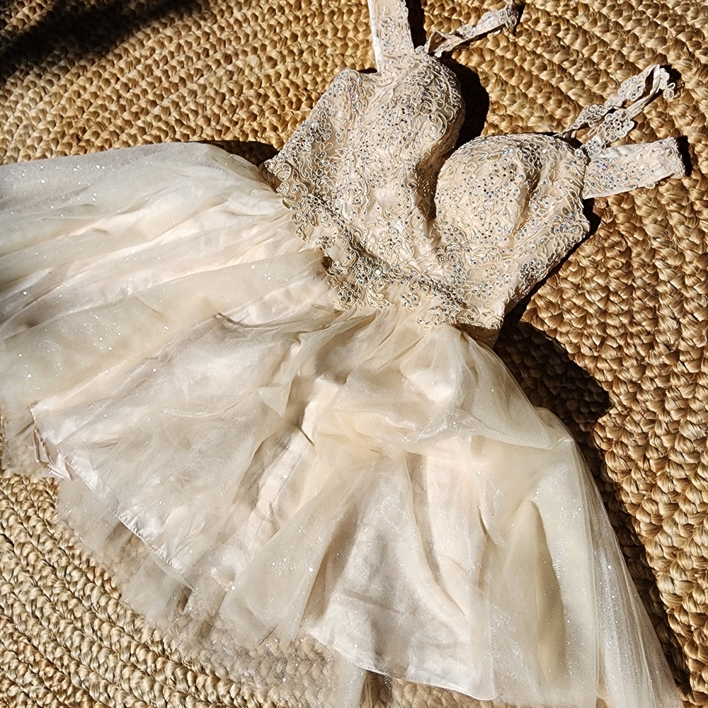 Cinderella Devine Cream Lace Princess Dress